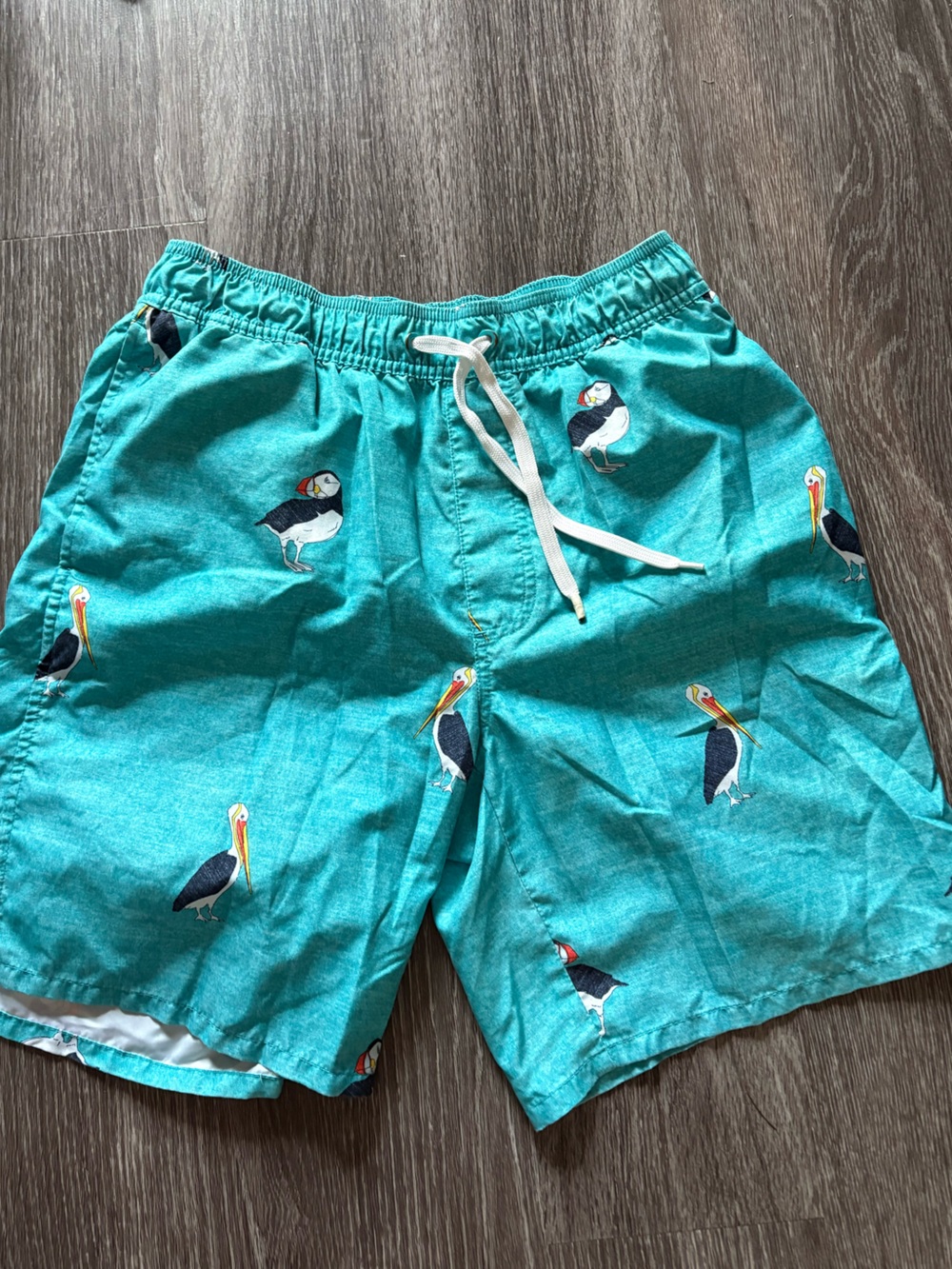 Old Navy Teal Puffin-Print Swim Trunks